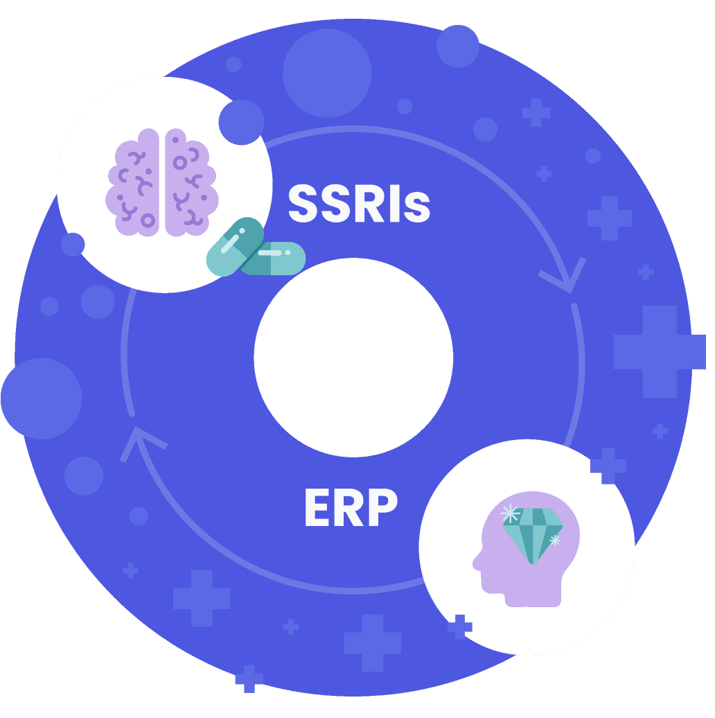 Illustration showing the relationship between SSRIs and ERP therapy.