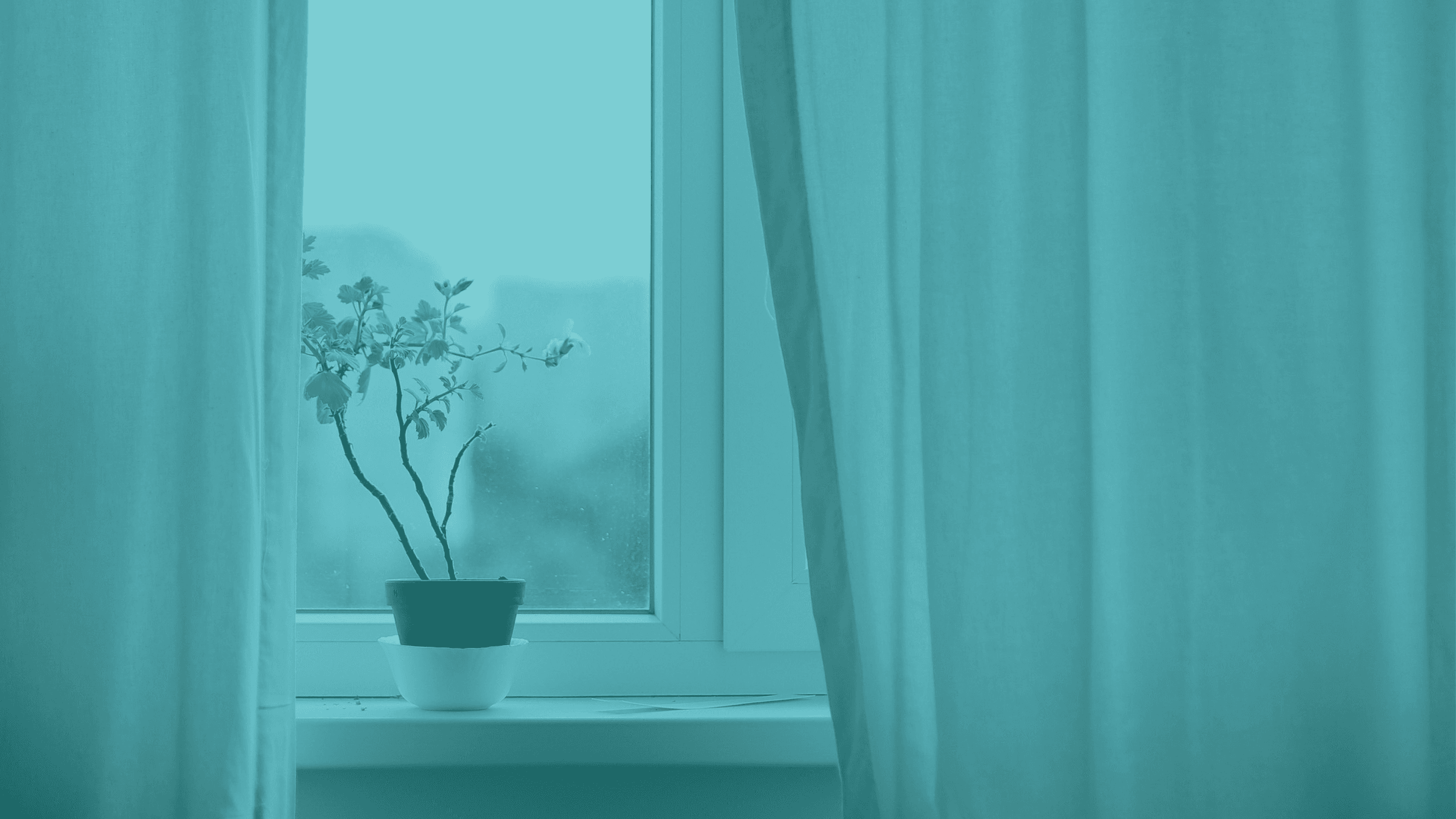 Therapist Welcome Video