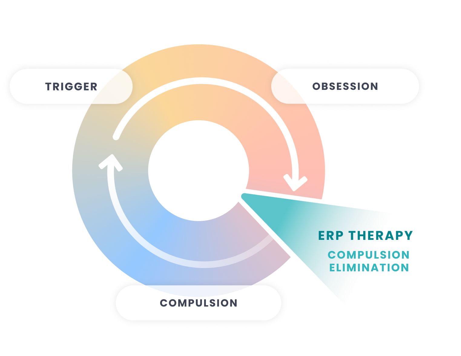 Illustration of how ERP therapy stops the cycle of triggers, obsessions, and compulsions.