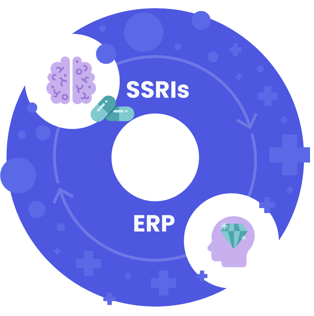 Illustration showing the relationship between SSRIs and ERP therapy.